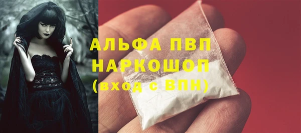 стаф Баксан