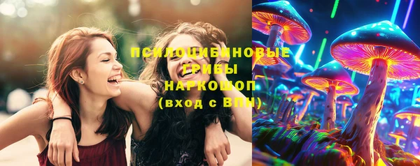 гашик Балахна
