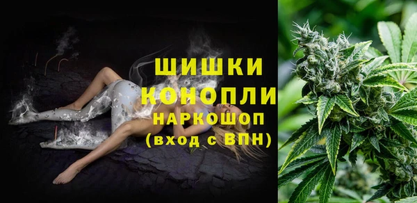 гашик Балахна
