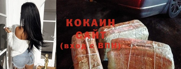 гашик Балахна