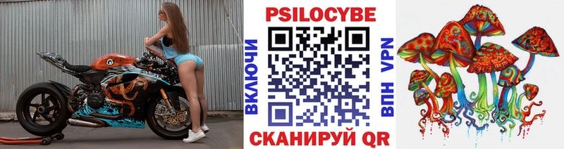 Галлюциногенные грибы Cubensis  omg сайт  Высоцк 